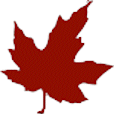 Mapleton Light logo