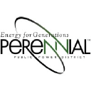 Perennial PPD logo