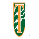 Traverse Electric Co-Op Inc logo