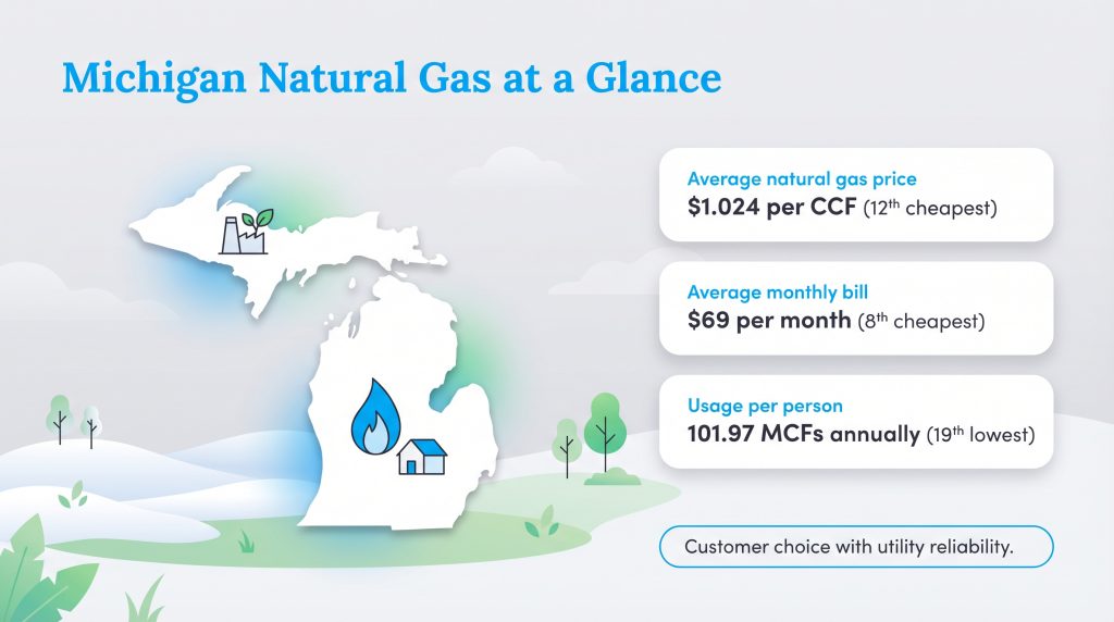 Michigan gas stats: $1.024/CCF price, $69/mo avg bill, 101.97 MCFs annual usage per person.