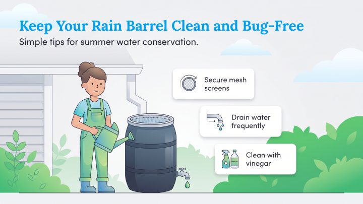 Infographic shows tips to keep rain barrels clean: secure screens, drain water, and clean with vinegar.