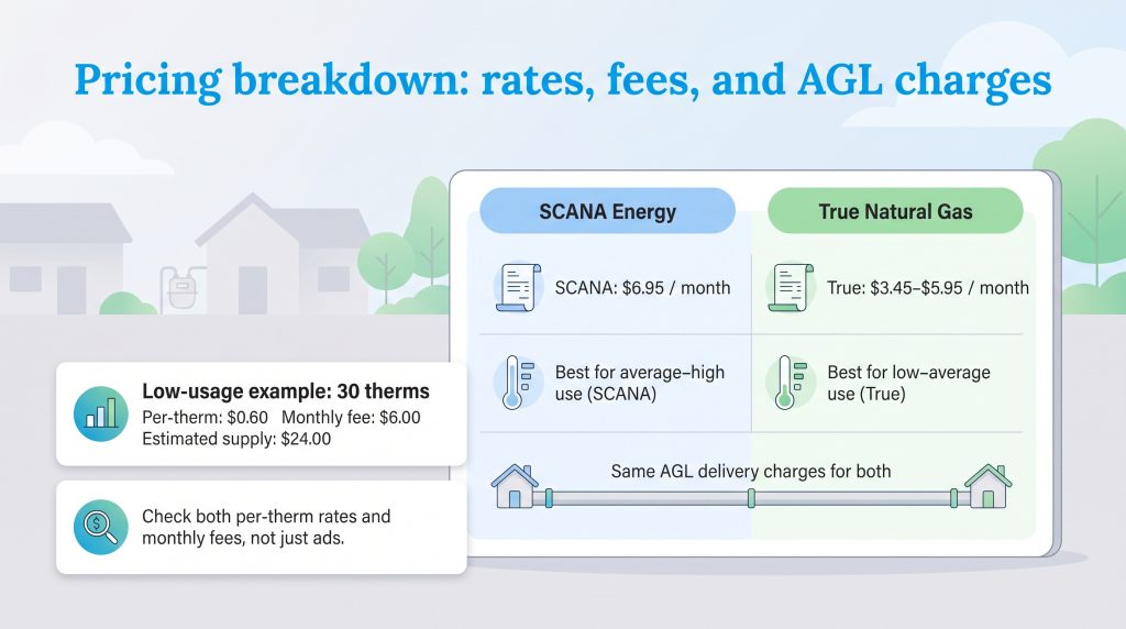 Comparison of monthly fees and usage recommendations for SCANA Energy and True Natural Gas