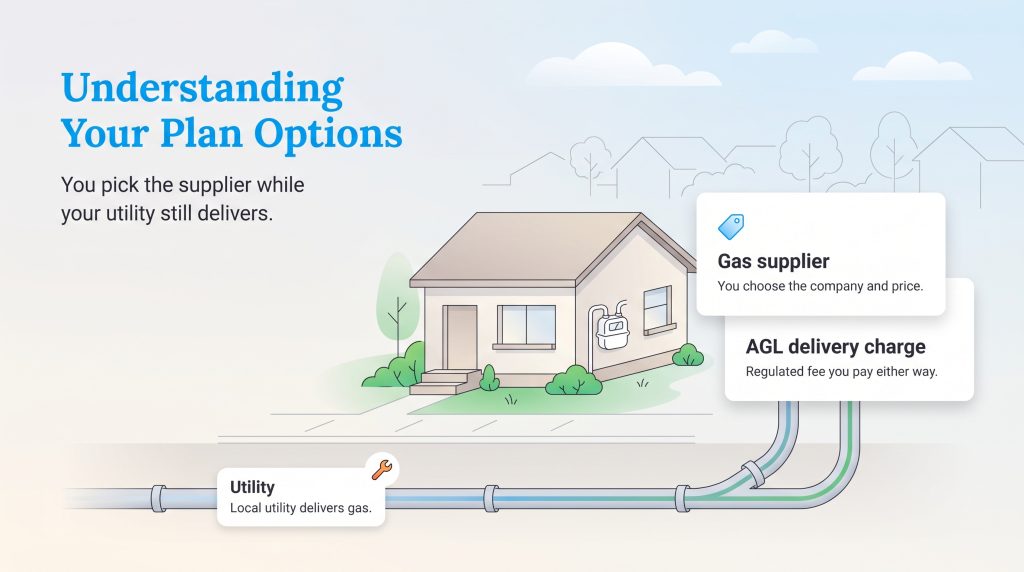 Diagram explaining gas utility delivery, chosen suppliers, and regulated delivery fees.